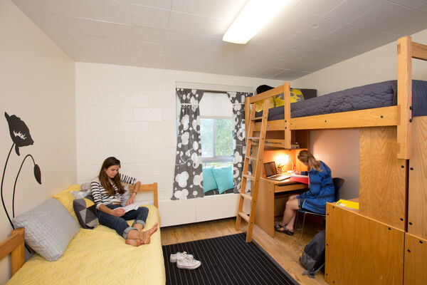 The interior of a dorm room in Baits II with a student studying on a bed and another student studying under their loft