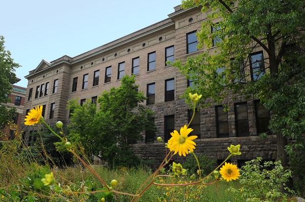 The Dana Building and surrounding trees on a sunny day