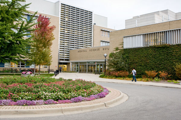 The circular road in front of the building with landscaping in the center