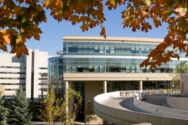 The glass and concrete exterior of the Medical School in the fall