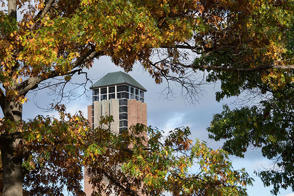 A photo of Lurie Tower taken between fall tree branches