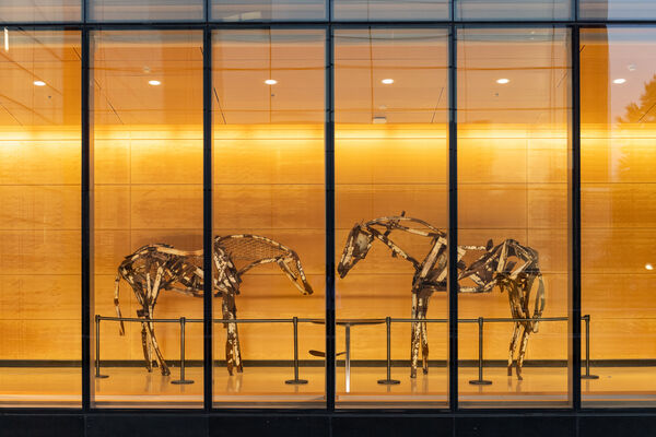 Two sculptures of metal horses seen through a wall of windows at night